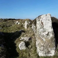 Bosullow Trehyllys wall