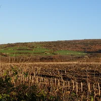 Farmland near Zennor